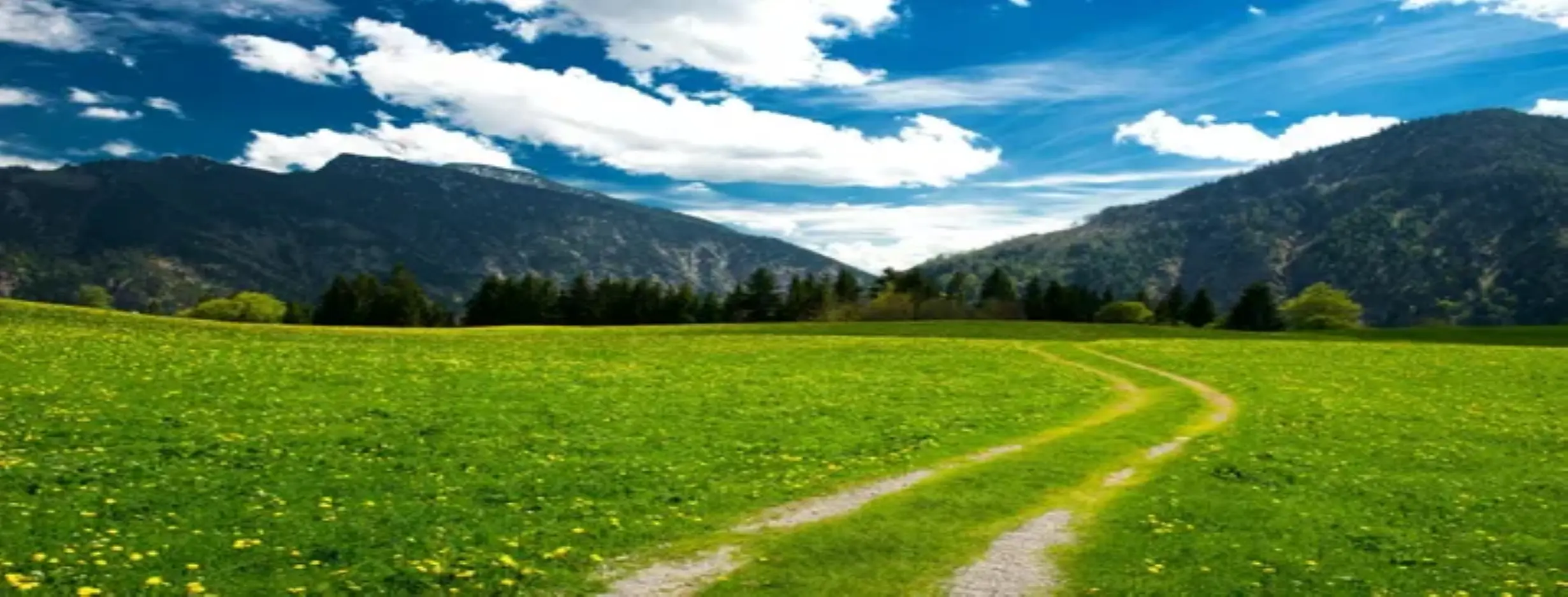 Image for Natural Landscapes